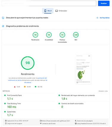se visualiza una grafica de pagespeed en la que se muestra una optimización al 100%